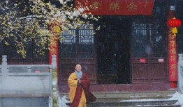 灵谷寺法师爆料视频,视频爆料背后的惊人真相